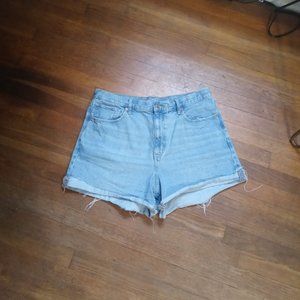 AMERICAN EAGLE 90s highest rise boyfriend denim shorts (sz14)